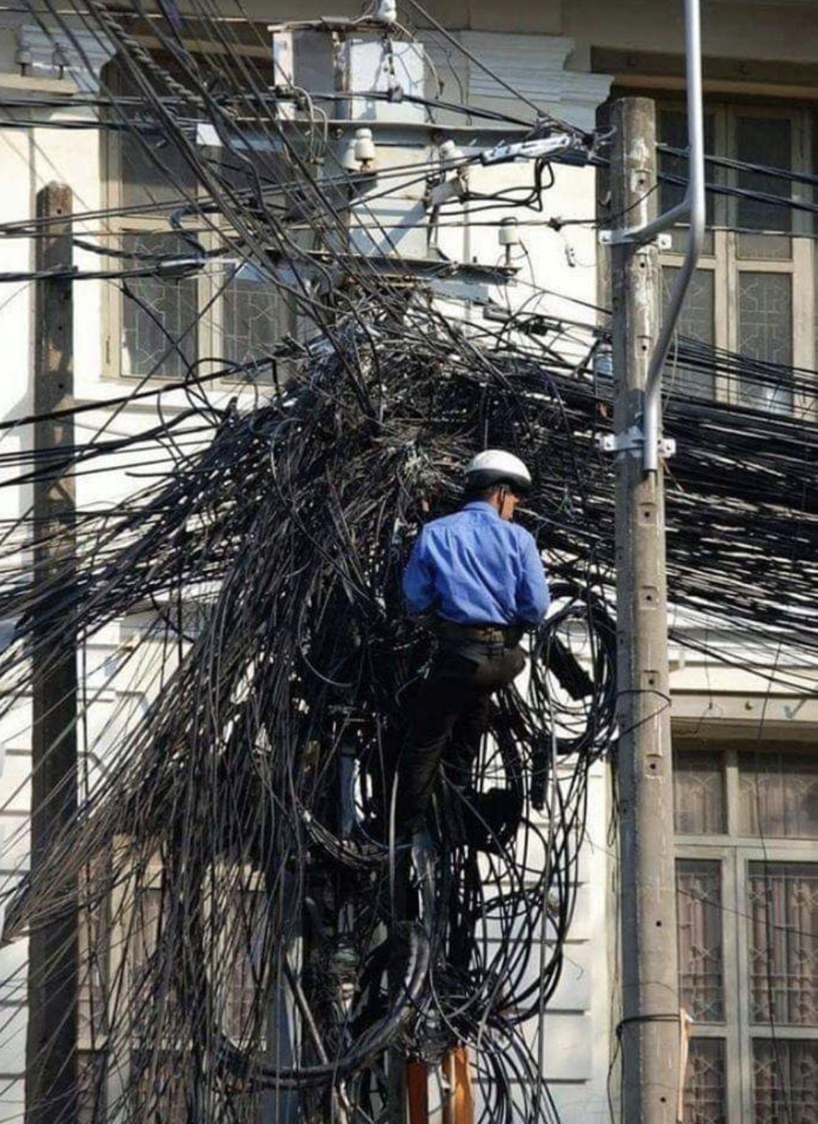 27 Telephone Poles That Need a Trim